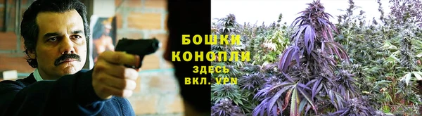 COCAINE Переславль-Залесский